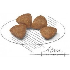 X-Small Puppy 1,5kg - Royal Canin - 16,40 € - Royal Canin - 3182550793612 - Ornibird SRL