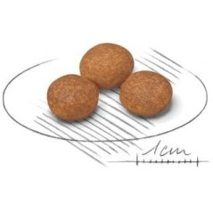 X-Small Adult 8+ 1,5kg - Royal Canin - 15,75 € - Royal Canin - 3182550831345 - Ornibird SRL