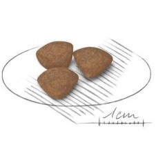 Mini Puppy 8kg - Royal Canin - 64,70 € - Royal Canin - 3182550793049 - Ornibird SRL