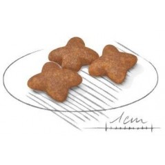 Mini Adult 2kg - Royal Canin à 18,50 € - Royal Canin - R462987 - Royal Canin