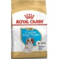 Cavalier King Charles Puppy 1,5kg - Royal Canin Cavalier King Charles Puppy 1,5kg - Royal Canin