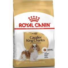 Cavalier King Charles Adult 7,5kg - Royal Canin 1238043 Royal Canin 73,00 € Ornibird