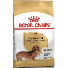 Dachshund Adult 1,5kg - Royal Canin 1238020 Royal Canin 15,25 € Ornibird