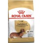 Dachshund Adult 7,5kg - Royal Canin