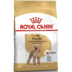 Poodle Adult 7,5kg - Royal Canin 1238027 Royal Canin 73,00 € Ornibird