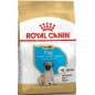 Pug Puppy 1,5kg - Royal Canin Pug Puppy 1,5kg - Royal Canin