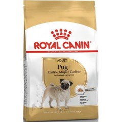Pug Adult 3kg - Royal Canin 1238060 Royal Canin 25,60 € Ornibird