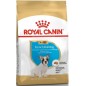 French Bulldog Puppy 1kg - Royal Canin