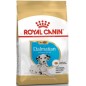 Dalmatian Puppy 12kg - Royal Canin Dalmatian Puppy 12kg - Royal Canin