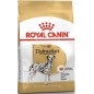 Dalmatian Adult 12kg - Royal Canin Dalmatian Adult 12kg - Royal Canin