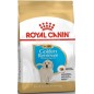 Golden Retriever Puppy 12kg - Royal Canin Golden Retriever Puppy 12kg - Royal Canin
