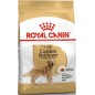 Golden Retriever adult 3kg - Royal Canin Golden Retriever adult 3kg - Royal Canin