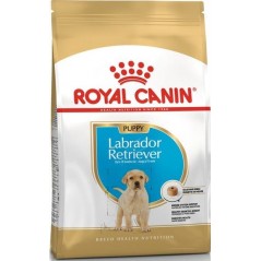 Labrador Retriever Puppy 3kg - Royal Canin - 29,30 € - Royal Canin - 3182550725507 - Ornibird SRL