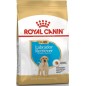 Labrador Retriever Puppy 12kg - Royal Canin Labrador Retriever Puppy 12kg - Royal Canin