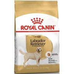 Labrador Retriever Adult 3kg - Royal Canin 1239490 Royal Canin 29,20 € Ornibird