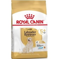 Labrador Retriever Adult 5+ 12kg - Royal Canin 1239494 Royal Canin 100,00 € Ornibird