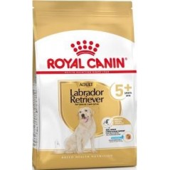 Labrador Retriever Adult 5+ 12kg - Royal Canin - 91,05 € - Royal Canin - 3182550908412 - Ornibird SRL