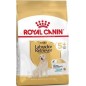 Labrador Retriever Adult 5+ 12kg - Royal Canin Labrador Retriever Adult 5+ 12kg - Royal Canin