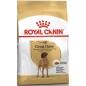 Great Dane 12kg - Royal Canin Great Dane 12kg - Royal Canin