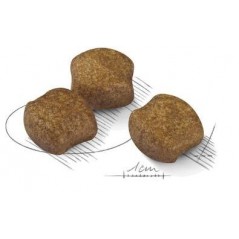Medium Dental Care 10kg - Royal Canin - 75,70 € - Royal Canin - 3182550894265 - Ornibird SRL