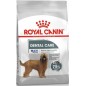 Maxi Dental Care 9kg - Royal Canin Maxi Dental Care 9kg - Royal Canin