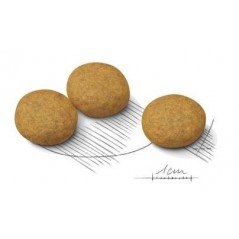Medium DermaComfort 3kg - Royal Canin - 27,05 € - Royal Canin - 3182550773829 - Ornibird SRL