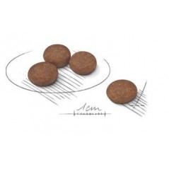 Mini Digestive Care 3kg - Royal Canin - 28,40 € - Royal Canin - 3182550894012 - Ornibird SRL