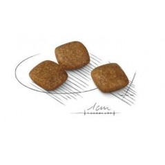 Mini Relax Care 8kg - Royal Canin - 72,10 € - Royal Canin - 3182550895101 - Ornibird SRL