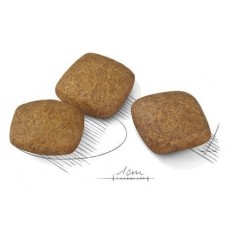 Maxi Relax Care 9kg - Royal Canin - 68,15 € - Royal Canin - 3182550894944 - Ornibird SRL