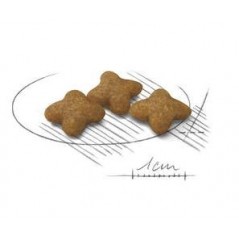 X-Small Sterilised 1,5kg - Royal Canin - 18,30 € - Royal Canin - 3182550832540 - Ornibird SRL