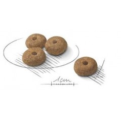 Mini Sterilised 3kg - Royal Canin - 28,40 € - Royal Canin - 3182550894128 - Ornibird SRL