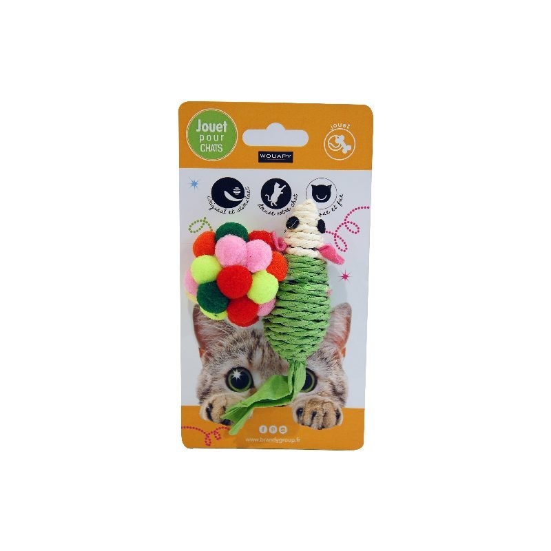 Souris Sisal + Balle Boule - Wouapy