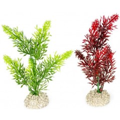 Plante Elodea Densa couleurs mélangées S 13cm - Aqua Della 242/457832 Aqua Della 3,67 € Ornibird