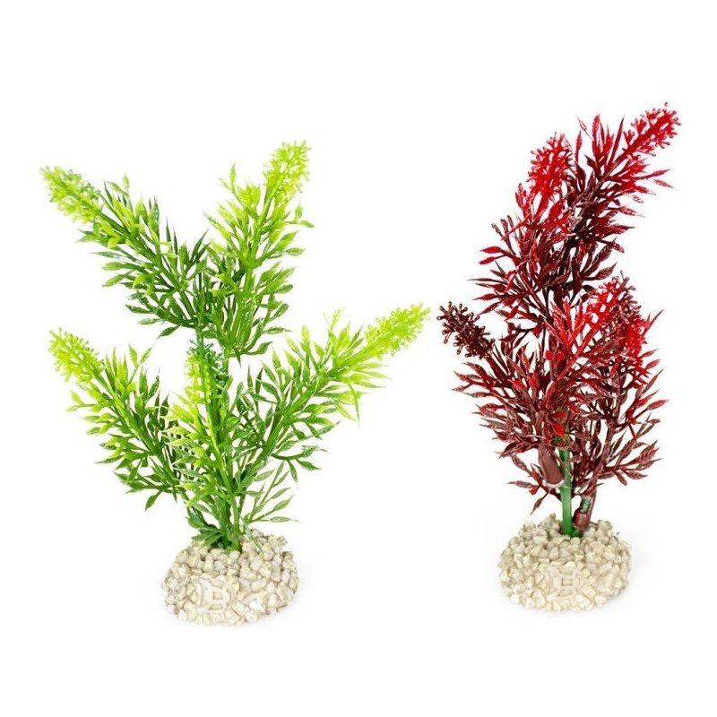 Plante Elodea Densa couleurs mélangées S 13cm - Aqua Della 242/457832 Aqua Della 5,45 € Ornibird