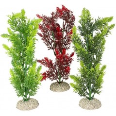 Plante Elodea Densa couleurs mélangées M 25cm - Aqua Della 242/458402 Aqua Della 9,95 € Ornibird