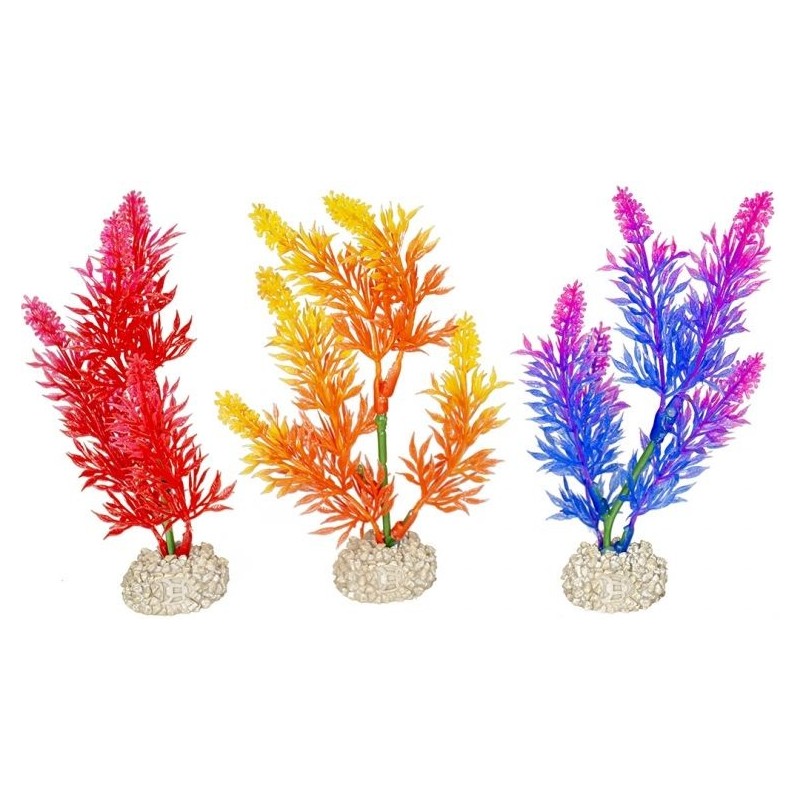 Plante Elodea Densa Fluo couleurs mélangées S 13cm - Aqua Della 242/457870 Aqua Della 5,45 € Ornibird