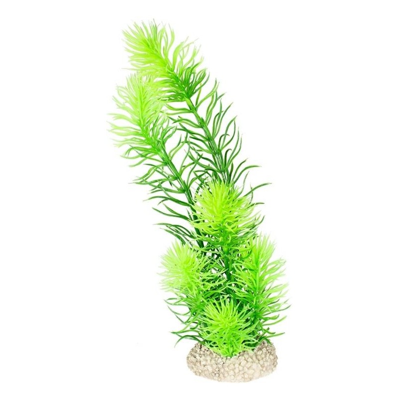 Plante Hornwort vert foncé M 24cm - Aqua Della 242/458310 Aqua Della 6,00 € Ornibird