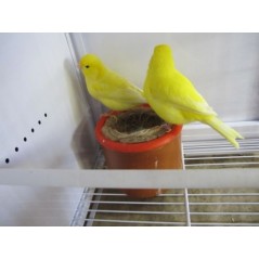 10 Fund Nest Jute 7010 Private Label - Ornibird 3,65 € Ornibird