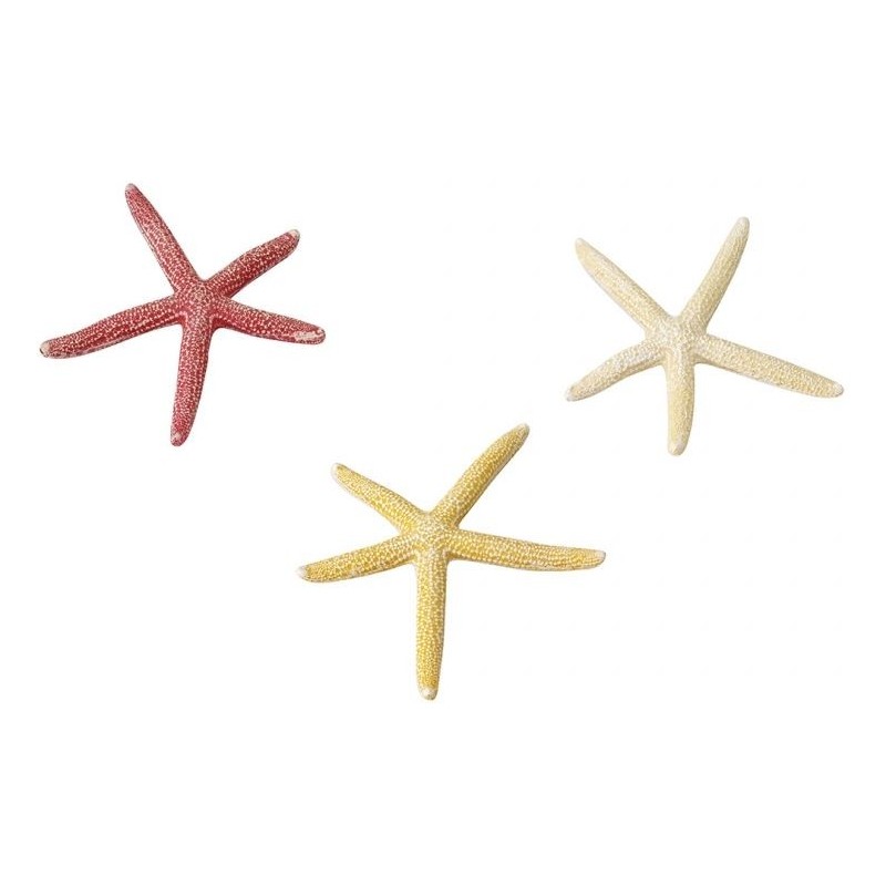 Starfish Mix S 10cm - Aqua Della 234/418918 Aqua Della 6,95 € Ornibird