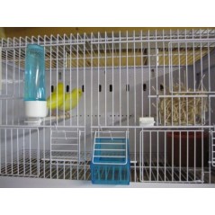 Batterie de 12 cages 64x30x34 Modèle Champion- New Canariz - 1 260,00 € - New Canariz - 1516739131636 - Ornibird SRL