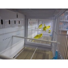 Batterie de 12 cages 64x30x34 Modèle Champion- New Canariz - 1 260,00 € - New Canariz - 1516739131636 - Ornibird SRL