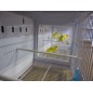Batterie de 12 cages 64x30x34 Modèle Champion- New Canariz