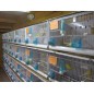 Batterie de 12 cages 64x30x34 Modèle Champion- New Canariz