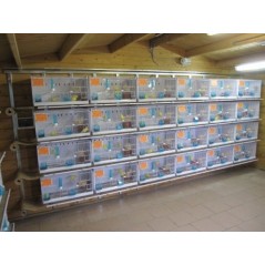 Batterie de 12 cages 64x30x34 Modèle Champion- New Canariz - 1 260,00 € - New Canariz - 1516739131636 - Ornibird SRL