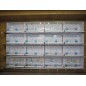 Batterie de 12 cages 64x30x34 Modèle Champion- New Canariz