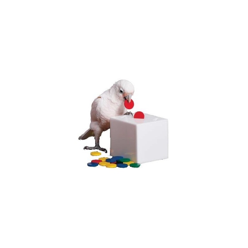 Teach Box et Bank M - Boite éducative - Zoo-Max