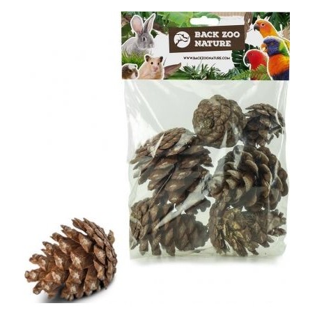 Cônes de pin forestier pour les oiseaux 6pièces - Back Zoo Nature à 4,15 € - Back Zoo Nature - ZF3553 - Jouets