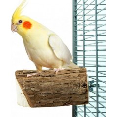 Perche de tranche de bois S - Back Zoo Nature - 4,15 € - Back Zoo Nature - 8784251813269 - Ornibird SRL