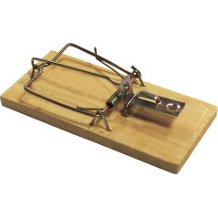 4 Souricières en bois - BSI - 5,50 € - BSI - 5420046640827 - Ornibird SRL