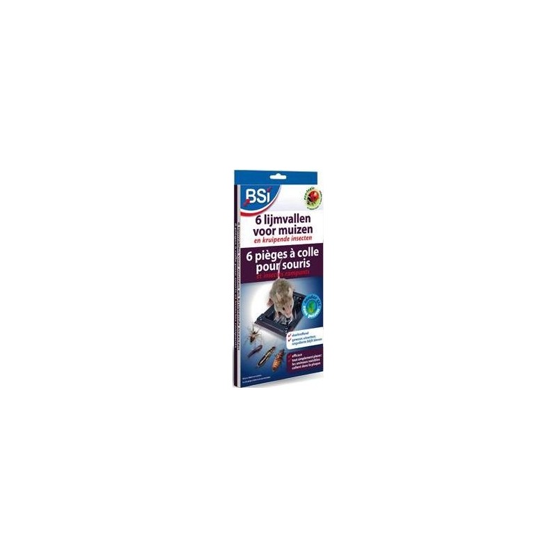 Piège à colle souris 6 pièces - BSI 25084 BSI 8,50 € Ornibird